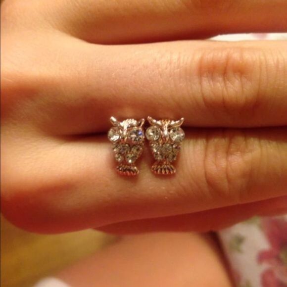 (P1) Owl Earrings - Picture 2 of 2